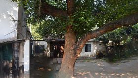 বঙ্গবন্ধুর প্রিয় কাঁঠালতলা