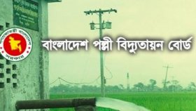 পল্লী বিদ্যুতের কাঠামো পর্যালোচনায় কমিটি গঠন