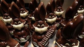 মাস্ক পরা খরগোশের পর এবার চকলেট সিরিঞ্জ