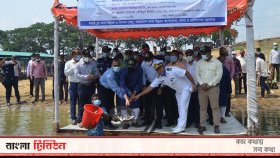 ৫০ মে. টন মাছের পোনা অবমুক্ত করা হচ্ছে কাপ্তাই হ্রদে