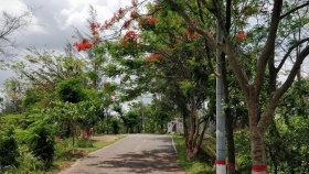 নীলাচলে লেগেছে প্রকৃতির ছোঁয়া