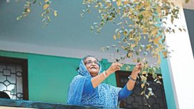 ৬ টিভি চ্যানেলে ‘হাসিনা: আ ডটারস টেল’