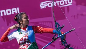 কুকুরের তাড়ায় ক্রিকেট বন্ধ, এরপর আর্চারিই দিয়ার ধ্যানজ্ঞান