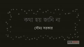 কথা হয় জানি না 