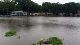 বাগেরহাটে পানিবন্দি হাজারো পরিবার, টর্নেডোতে বিধ্বস্ত বাড়িঘর