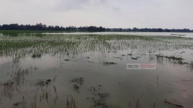 যেসব প্রাকৃতিক বিপর্যয় ভোগাবে বাংলাদেশকে