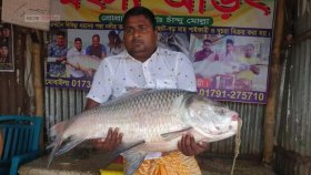১৮ কেজির কাতল ২৫ হাজারে বিক্রি 
