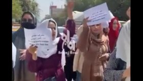 আফগান নারীদের বিক্ষোভের ভিডিও