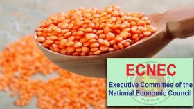 সুদিন আসছে ডালে