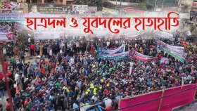 বিএনপির শোভাযাত্রায় অপ্রীতিকর ঘটনা