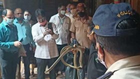 বোম্বে হাইকোর্টে বিচারপতির চেম্বার থেকে সাপ উদ্ধার