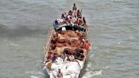 ঋণ থাকলে কি কোরবানি ওয়াজিব হবে