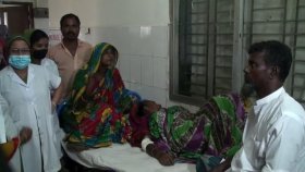 ফরিদপুরের পদ্মায় আতঙ্ক, কুমিরের আক্রমণে নারী আহত