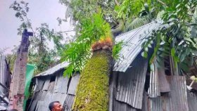 সিত্রাংয়ের প্রভাবে ভেঙে পড়লো ঘর, চাপা পড়ে শিশুর মৃত্যু
