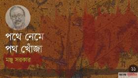 বিপন্ন পণ্যের বেসাতি ও লেখকের দায়।। পর্ব—এগারো