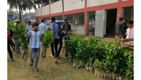 ৩৬ বছর পর আর্জেন্টিনার বিশ্বকাপ জয়ে ৩৬০০০ চারা বিতরণ