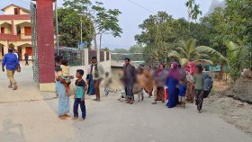 সীমান্তে গোলাগুলি, আবারও বাংলাদেশে রোহিঙ্গা প্রবেশের অভিযোগ