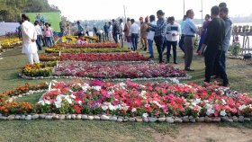 সাগরপাড়ে ফুলের মেলা