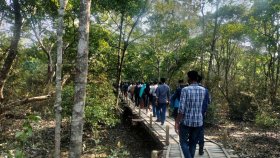 টানা তিনদিনের ছুটিতে সুন্দরবনে পর্যটকদের ভিড়