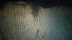মদপানরত অবস্থায় আটক দুজনকে কারাদণ্ড