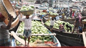 নদীতে তরমুজের ট্রলারে বজ্রাঘাত, প্রাণ গেলো শ্রমিকের