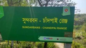 সুন্দরবনে জেলেদের হামলায় বন কর্মকর্তাসহ আহত ৭