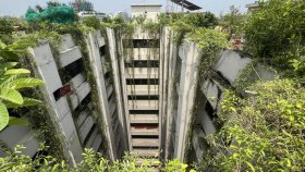 আইন কমিশনের ছাদ যেন এক টুকরো স্বর্গরাজ্য