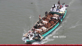 নৌপথেও রাজধানীতে আসছে কোরবানির গরু