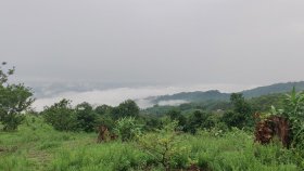 রুমা-থানচিতে ভ্রম‌ণ নিষেধাজ্ঞা প্রত‌্যাহা‌র