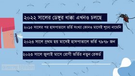 ডেঙ্গু চক্রে বাংলাদেশ