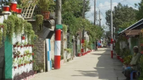 বদলে যাওয়া বাঁশবাড়ি কলোনিতে এখন ফুলের সুবাস