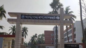 নিজ বাড়িতে মা ও শিশুসন্তানকে কুপিয়ে হত্যা