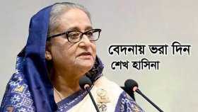 বেদনায় ভরা দিন