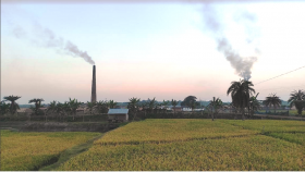 সাতক্ষীরায় এক যুগে কৃষি জমি কমেছে ১০ হাজার একর