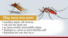 বছরজুড়ে ভোগায় মশাবাহিত রোগ