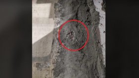 চার মৃত্যুর জন্য দায়ী বিদ্যুতের ‘চোরাই লাইন’, ১০ লাখে দফারফার প্রস্তাব!