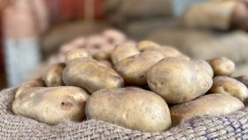 দুই দিনে ৫০ হাজার টন আলু আমদানির অনুমতি