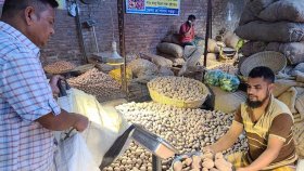 ৩৬ টাকা দরে আলু বিক্রি, কেনা যাবে সর্বোচ্চ ৫ কেজি
