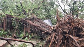 হামুনের তাণ্ডবে লন্ডভন্ড কক্সবাজার, ৩ জনের মৃত্যু