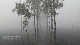 দেশের সর্বনিম্ন তাপমাত্রা শ্রীমঙ্গলে, হতে পারে বৃষ্টিও