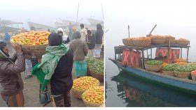 এক হাটে ৪২ হাজার কেজি সবজি বেচাকেনা হয় একদিনে