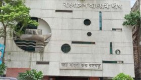 দল গোছাচ্ছে আওয়ামী লীগ