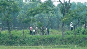 লালমনিরহাট সীমান্তে বিএসএফের গুলিতে বাংলাদেশি নিহত