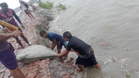 কয়রায় ১১ পয়েন্ট দিয়ে ঢুকেছে পানি, আশ্রয়কেন্দ্রে ৪০ হাজার মানুষ