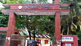 মধ্যরাতে ঘরে ঢুকে দাদি-নাতিকে কুপিয়ে হত্যা