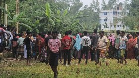 এবার এক মেয়ের খণ্ডিত লাশ উদ্ধার