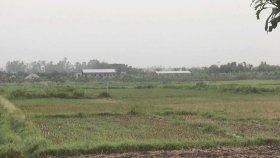 মাদারীপুরে বেনজীরের স্ত্রীর নামে ৯০ একর জমি