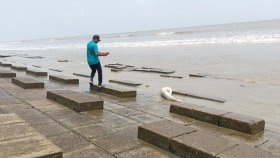 কুয়াকাটা সৈকতে ভেসে এলো ১০ ফুট লম্বা মৃত ডলফিন