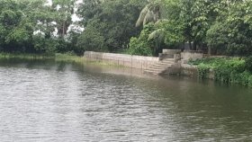 পুকুরে জাল ফেলে তোলা হয় দুই ভাইয়ের মরদেহ