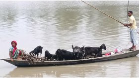বেড়েই চলেছে যমুনার পানি, সারিয়াকান্দিতে ৬৮ হাজার মানুষ পানিবন্দি